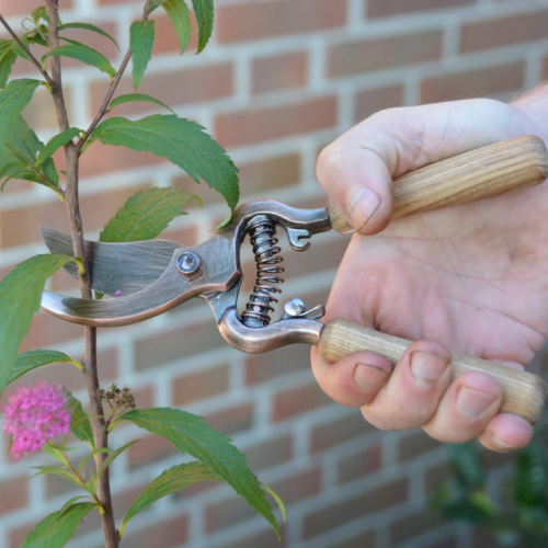 Verkupferte Gartenschere